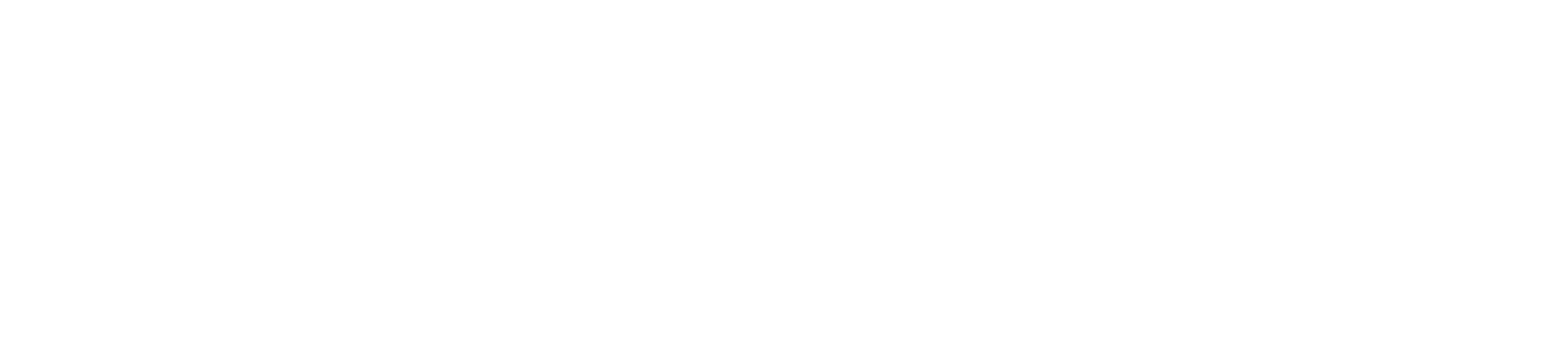 SD protocol logo